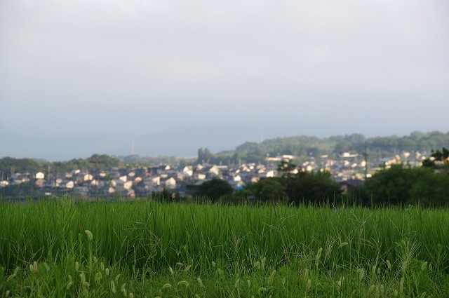f0169884_15374303.jpg