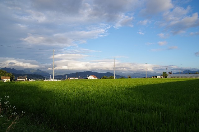 f0169884_15581170.jpg