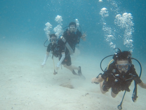 ファミリーダイブ(^ ^)_f0144385_20130506.jpeg