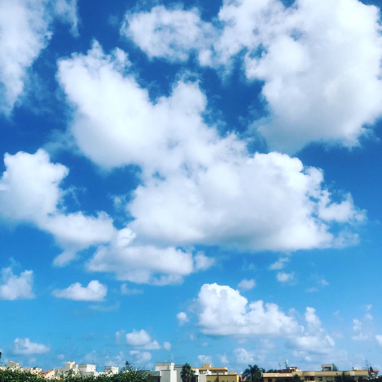 e0335287_00494051.jpg