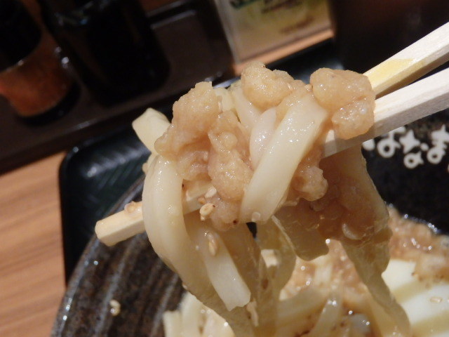 はなまるうどん 元町1番街店_c0118393_17464513.jpg