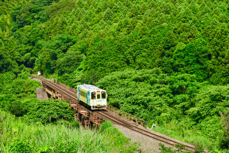 へいちく2019夏（夏色風景）_e0414296_15291705.jpg