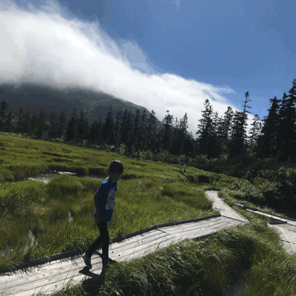 b0199097_09143839.gif