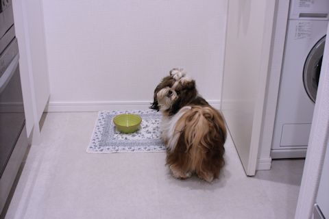 c0090198_17370788.jpg
