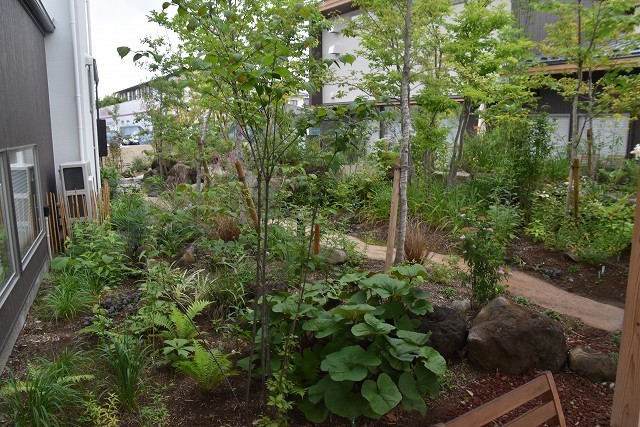 7月15日の きららテラス_c0124100_15445427.jpg