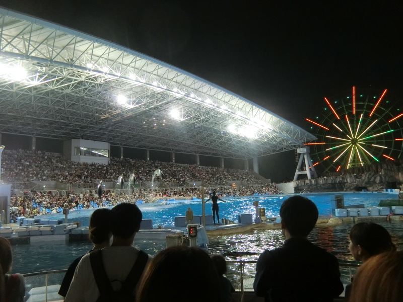 サマーナイトアクアリウム 名古屋港水族館 緑区周辺そぞろ歩き サマーナイトアクアリウム 名古屋港水族館 緑区周辺そぞろ歩き
