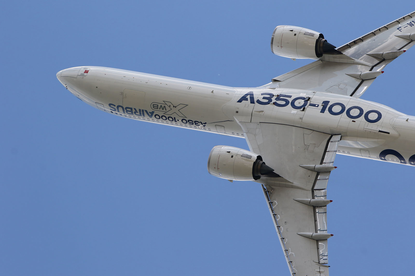 パリエアショー2019 06「FLIGHT DISPLAY 02」_b0315809_12090673.jpg