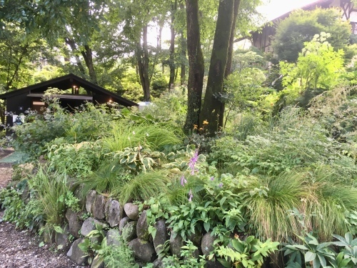 d0179410_22271681.jpeg