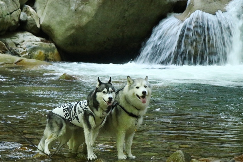 b0207615_17561058.jpg