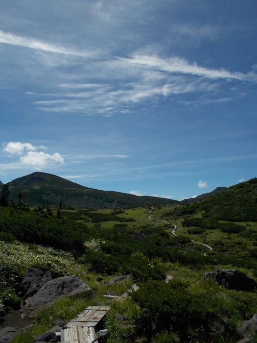b0037220_14435396.jpg