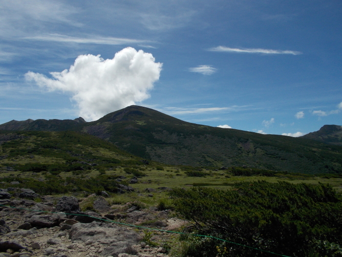 b0037220_14522330.jpg