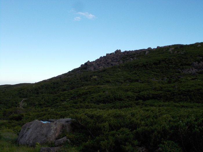 b0037220_14570458.jpg