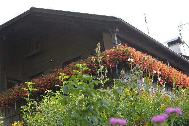 e0335926_21414889.jpg