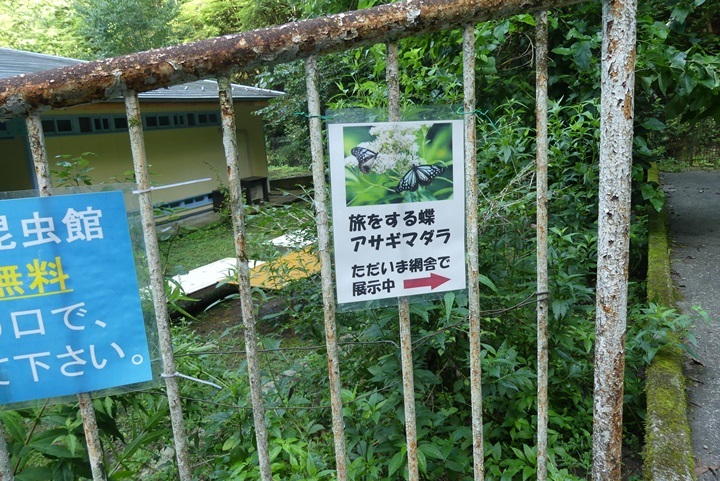 f0177529_22530903.jpg