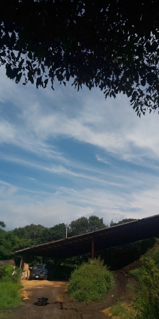 e0376933_22340735.jpg