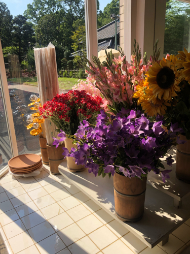 東京 黄金井 東京たてもの園内の街並み_b0048834_09450149.jpg