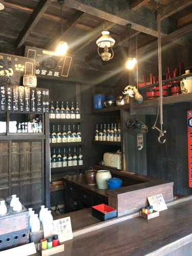 東京 黄金井 東京たてもの園内の街並み_b0048834_09450565.jpg