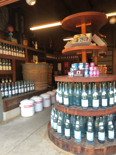 東京 黄金井 東京たてもの園内の街並み_b0048834_09462812.jpg