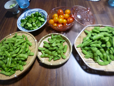 c0343936_16111525.jpg