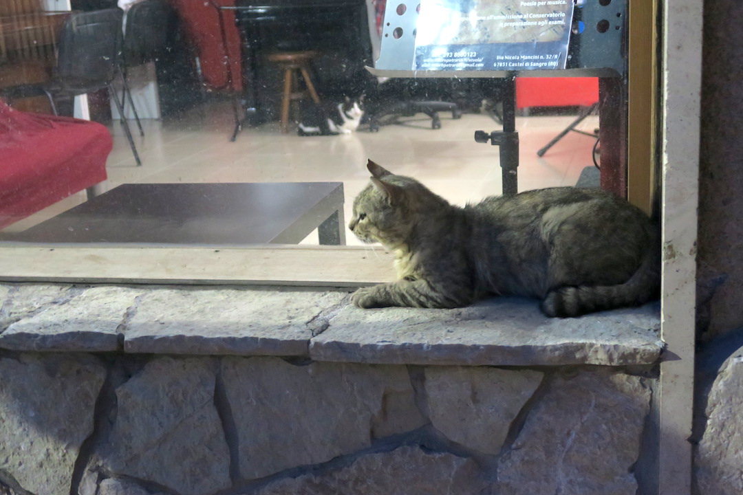 モリーゼの旅で出会った猫と風景_f0234936_7415941.jpg