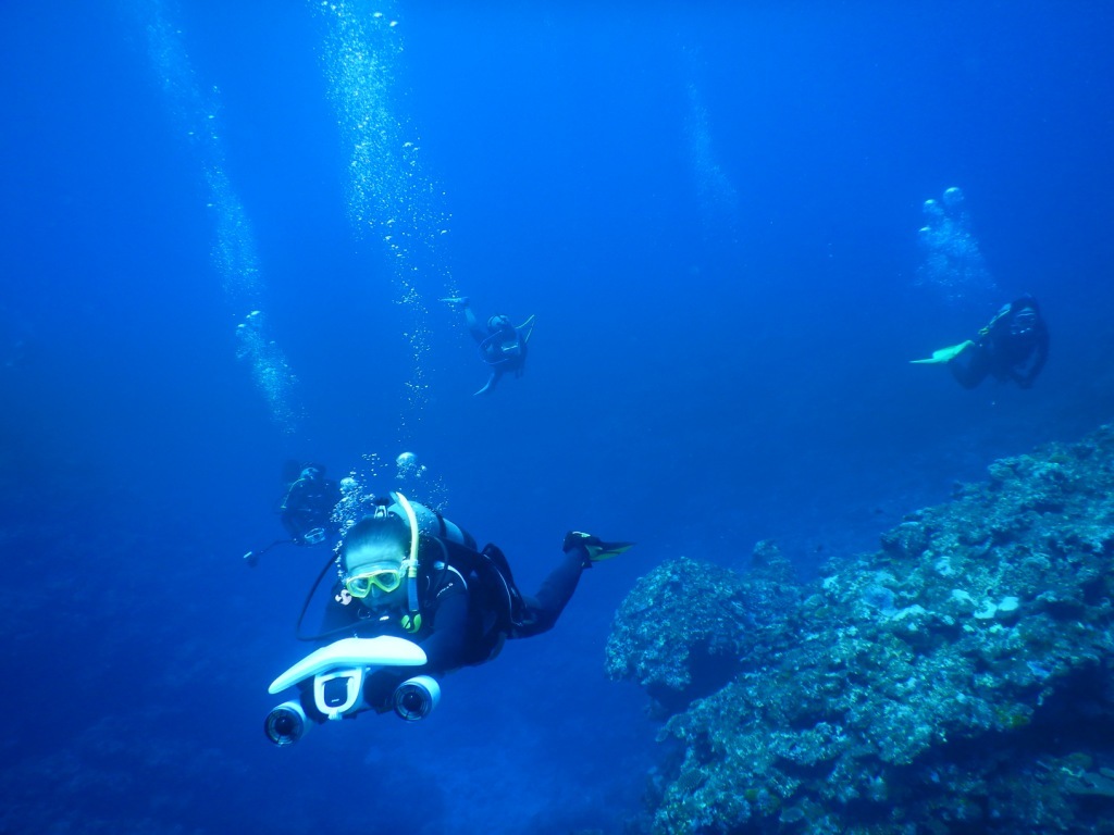 青い海は気持ちイイ~♪_a0189838_21045393.jpg