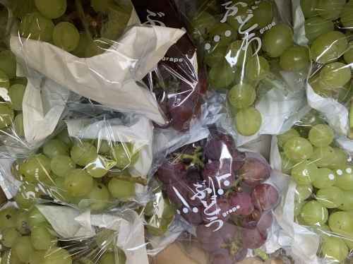 b0330040_12074149.jpeg