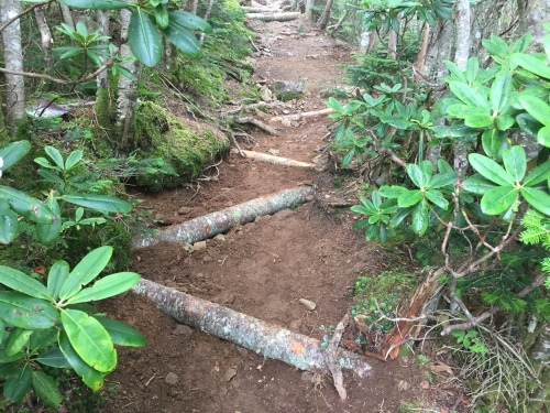 登山道整備しております_c0369344_20125816.jpeg