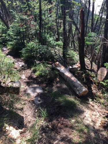 雁坂嶺まで登山道巡視行いました_c0369344_20200777.jpeg