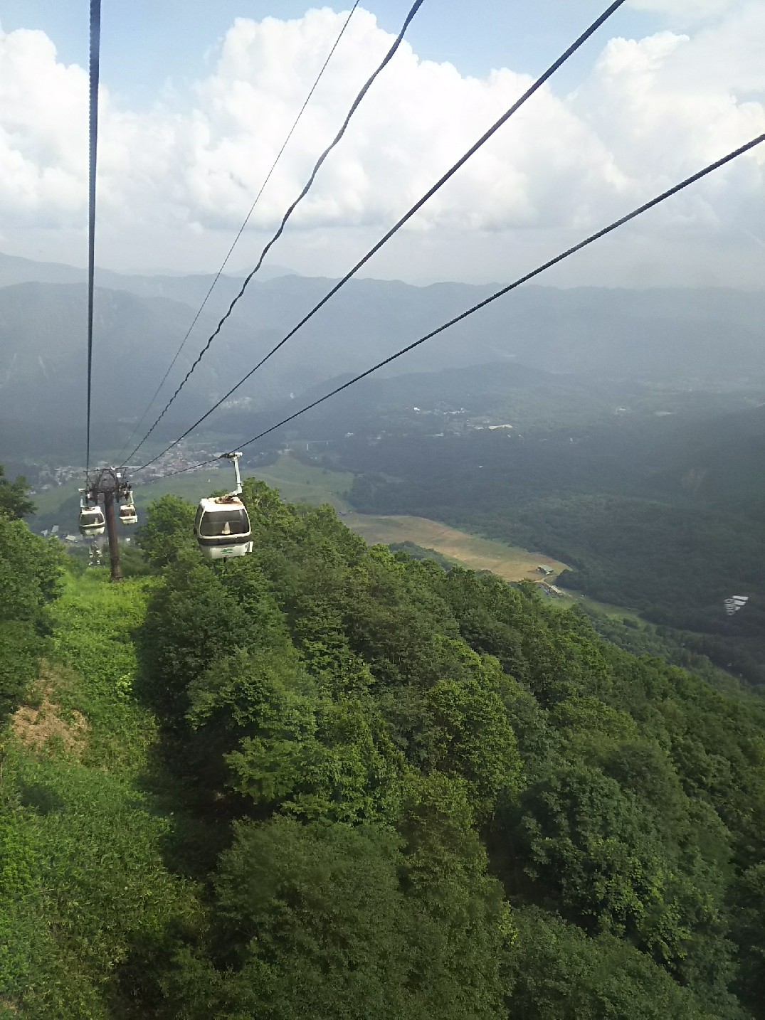 c0134850_12432562.jpg