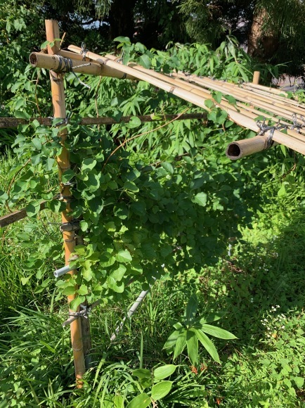b0346851_14152240.jpeg