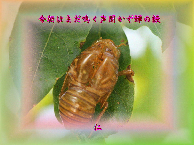 e0017651_15461491.jpg