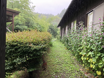 b0135255_14265021.png