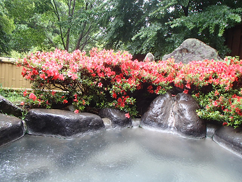 b0135255_14305680.png