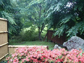 b0135255_14310675.png