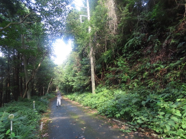 d0156557_09185021.jpeg