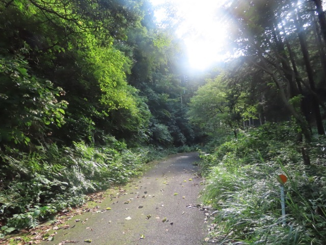 d0156557_09190199.jpeg