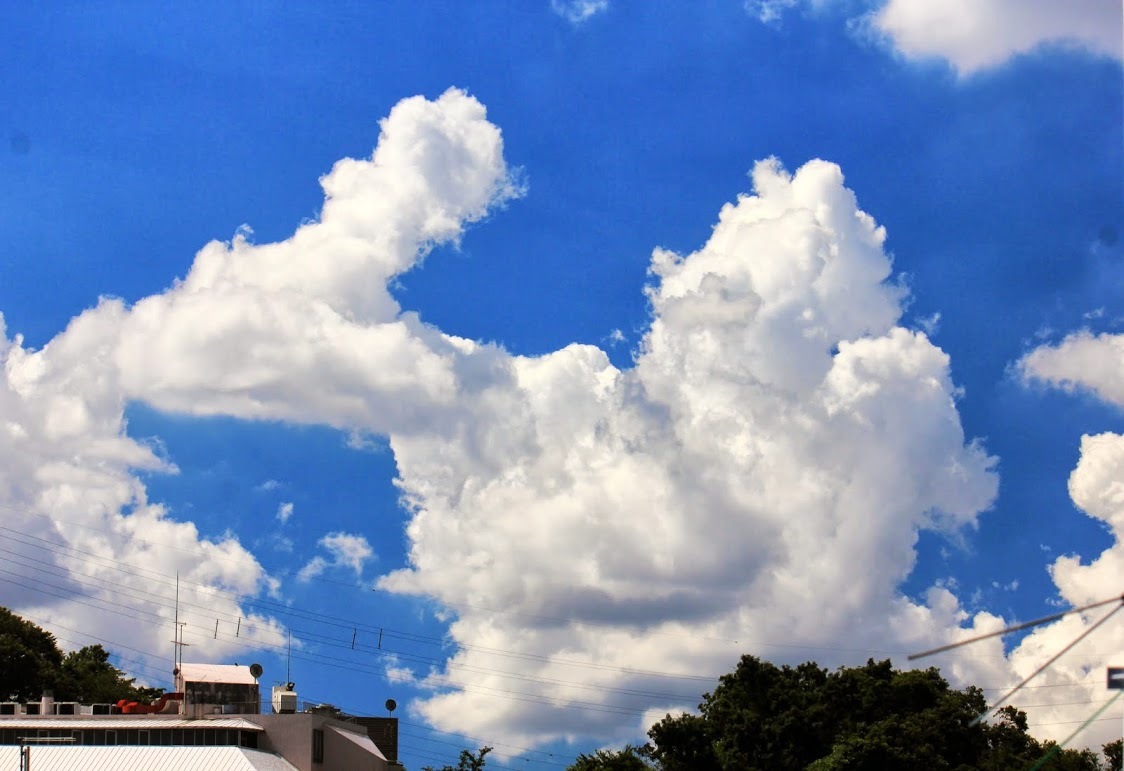 a0248459_14020067.jpg