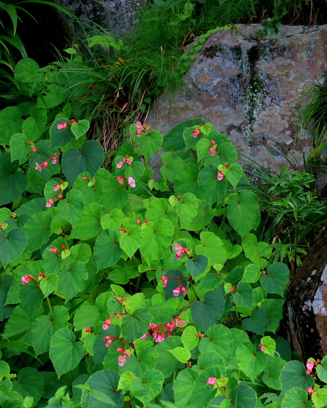c0305565_17410543.jpg
