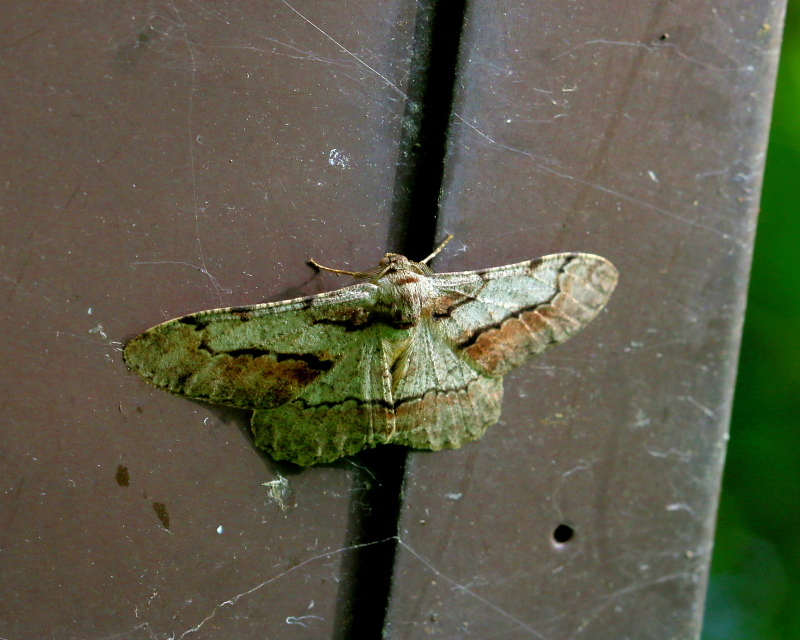 c0305565_17443404.jpg