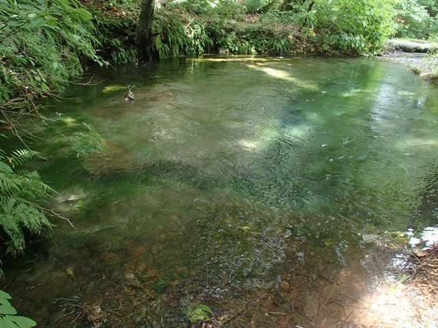 a0344771_07511547.jpg