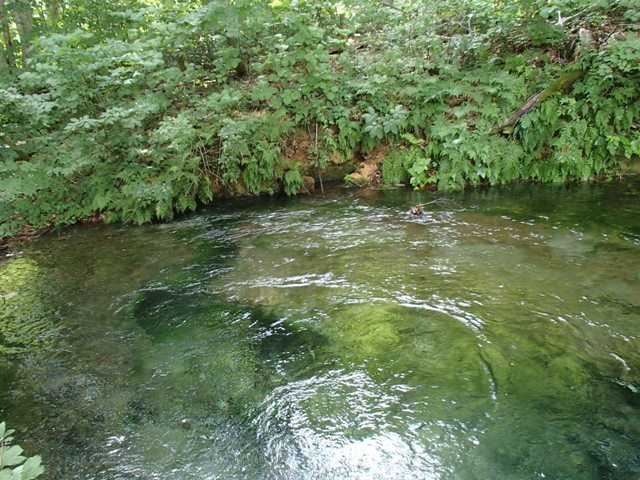 a0344771_07511981.jpg