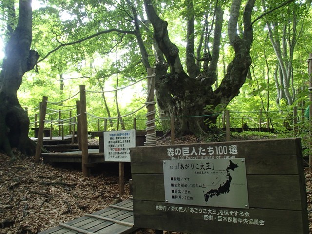 a0344771_07520125.jpg