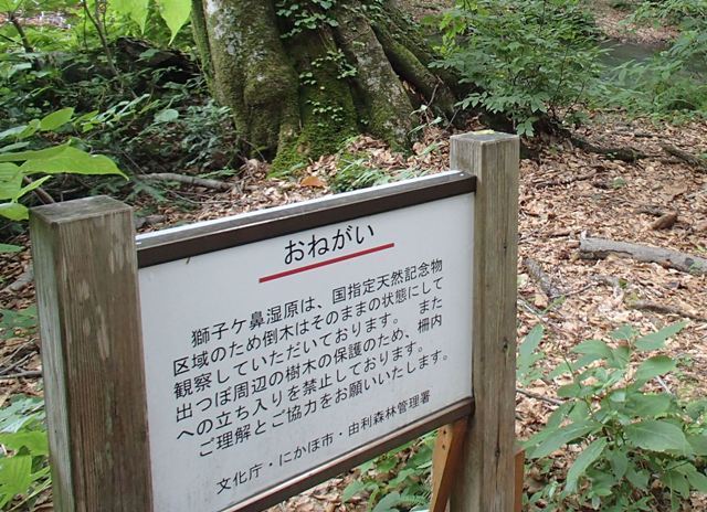 a0344771_07523021.jpg