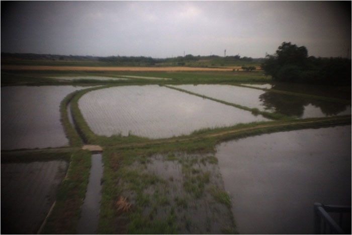 c0168172_11454492.jpg