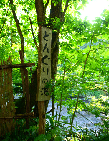 b0086273_17001215.jpg