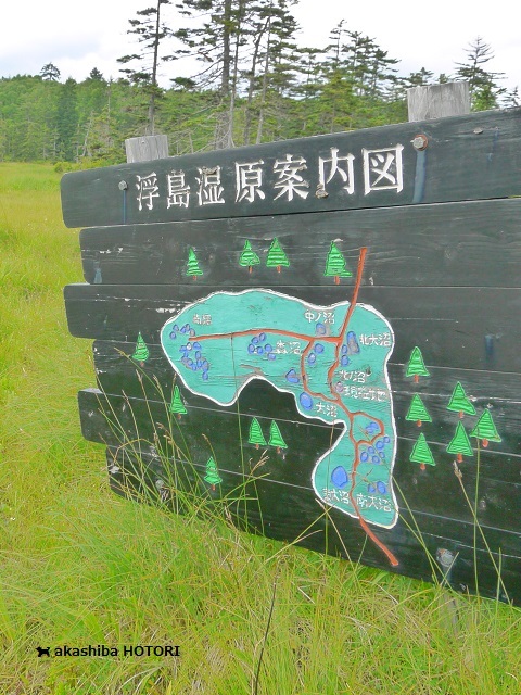 f0150377_10222400.jpg