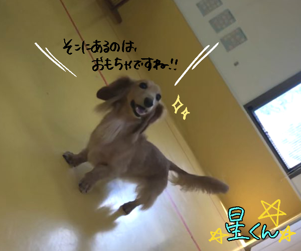 勝負の行方・・・?_f0357682_21435396.jpg