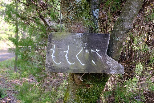 b0119493_12531401.jpg