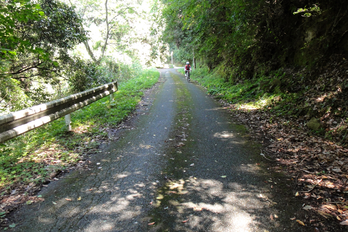 e0079696_20315439.jpg
