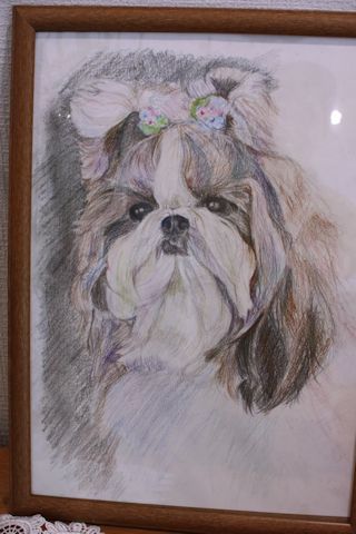 c0090198_18123324.jpg